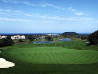 아난티(대중제)